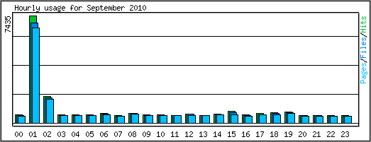 Hourly usage