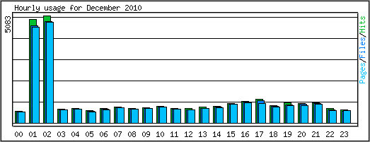 Hourly usage