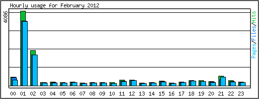 Hourly usage