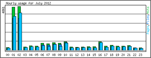 Hourly usage