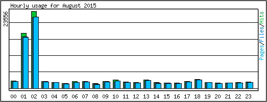 Hourly usage