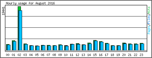 Hourly usage