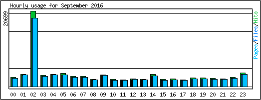 Hourly usage