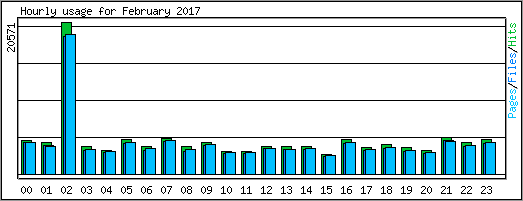 Hourly usage