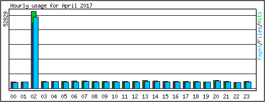 Hourly usage