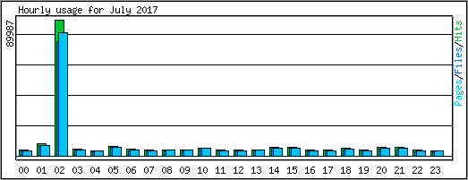 Hourly usage