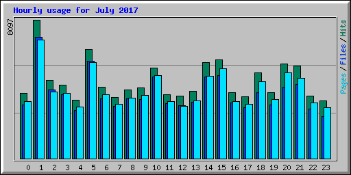 Hourly usage for July 2017