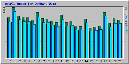 Hourly usage for January 2018